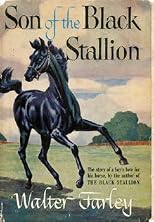 Son of the Black Stallion
