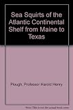 Sea squirts of the Atlantic continental shelf fom Maine to Texas