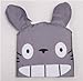1 X Hayao Miyazaki Totoro Gray Apron by Venz