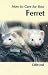 How to Care for Your Ferret (Your first...series)