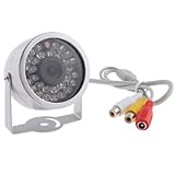 Day/Night Surveillance Camera Equipped with 30 LEDs