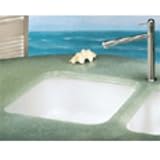 Franke : CCK11015WH 15 Undermount Single Bowl Fireclay Sink