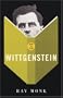 How to Read Wittgenstein (How to Read)