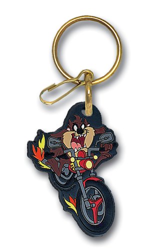 Motorcycle Accident
