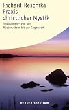 Praxis christlicher Mystik: Ein�bungen - von den W�stenv�tern bis zur Gegenwart - Richard Reschika
