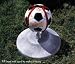 Kwik Kik Speedball Platform - w/o ball - any ball will fit - A Punching Bag for Your Feet Soccer Training Equipment