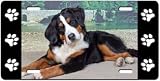 Bernese Mountain Dog License Plate
