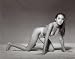 Angelina Jolie Poster Photo Bikini Pinup Garage Art Model Girl Hollywood Posters 11x14