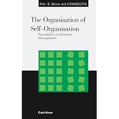 The Organisation of Self-organisation: Foundations of Systemic Management