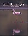 Pink Flamingos