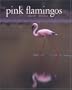 Pink Flamingos