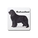 Newfoundland Rubber Square Coaster (4 pack)