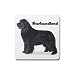 Newfoundland Rubber Square Coaster (4 pack)