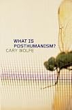 What is posthumanism?