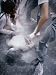 Celebrants at the Songkran Water Festival Douse a Person Lying in the Street Photogra...