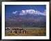 Children Running and Mt. Ararat, Agri, Turkey Lonely Planet Collection Framed Art Pos...
