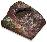 *CRITTER ISLAND FROG BURROW )6