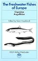 Freshwater Fishes of Europe: Clupeidae, Anguillidae v. 2