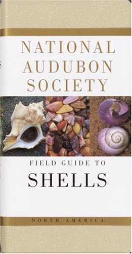 National Audubon Society Field Guide to North American Seashells (National Audubon Society Field Guide Series)