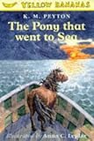 The pony that went to sea