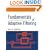 Fundamentals of Adaptive Filtering