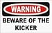 WARNING