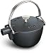 Staub Cast Iron Black Matte Round Tea Kettle 1 Qt.