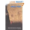 Urban Rock: Stoney Point Bouldering & Top Roping