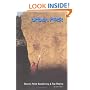 Urban Rock: Stoney Point Bouldering & Top Roping