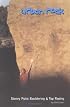 Urban Rock: Stoney Point Bouldering & Top Roping