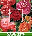 Best Cutting Rose Collection, Set of 5