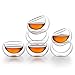 Luxtea Double-walled Borosilicate Teacup Glass Heat-resisting Tea Cup Hold 2 Oz,set of 10 (Teacup10pcs)