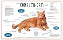 Comput-a-Cat Poster Print, 36x24