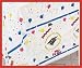 tablecloth lot - 6 Graduation party table covers