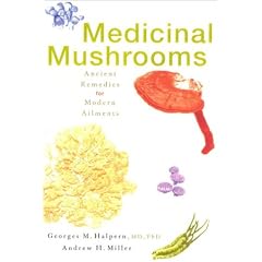 Medicinal Mushrooms: Ancient Remedies for Modern Ailments