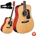 Washburn D10 Series Acoustic