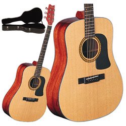 Washburn D10 Series Acoustic