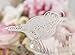 Ginger Ray Vintage Bird Place Card For Glass - X 10 - Vintage Lace