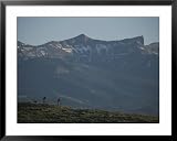 Biking Below Carter Mountain Framed Art Poster Print by Bobby Model, 39x31