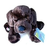 Webkinz 8.5 Chocolate Labrador Lab Dog (Case of 6)