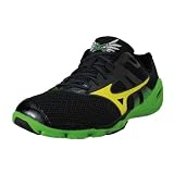Mizuno Men's Wave Evo Levitas Shoes