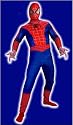 Spider-Man Costume