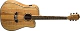 Washburn Southwestern Series D46CESPK Acoustic-Electric Guitar