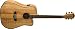 Washburn Southwestern Series D46CESPK Acoustic-Electric Guitar