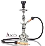  Aladin Evolution...
