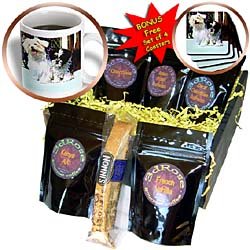 Dogs Maltese - Maltese - Coffee Gift Baskets - Coffee Gift Basket by 3dRose LLC
