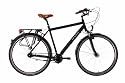 Ortler Cityrad de Goya Herren (2012)