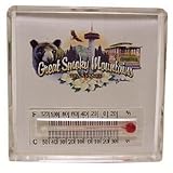 IMAGE OF Tennesee Great Smokey Mountains Magnet Lucite The