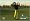 Tiger Woods PGA Tour 09 All-Play