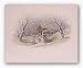 Ol' Mill Stream by Howard Burger 11"x14" Art Print Poster